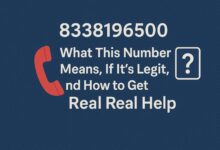 8338196500 What This Number Means