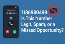 7186980499 Is This Number Legit, Spam, or a Missed Opportunity