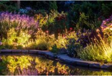 Transform your home garden