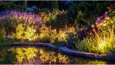 Transform your home garden