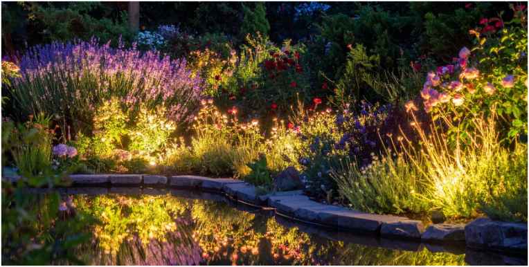 Transform your home garden